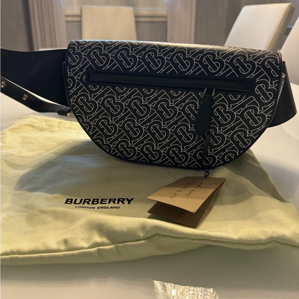 Burberry Belt Bag